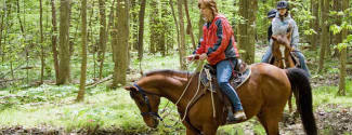 English and Horse riding courses