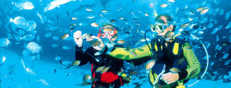 English and Skin-diving courses for a junior English and Skin-diving courses for a junior