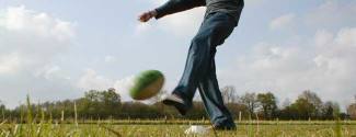 English course + sport for adult