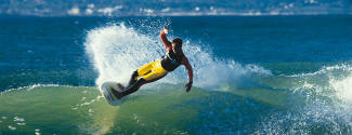 English and Surf courses