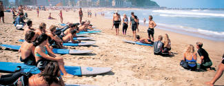 English and Surf courses for junior