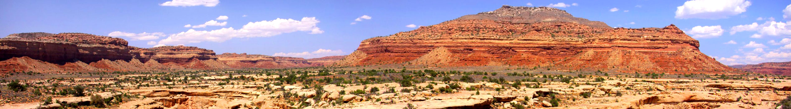 Languages courses worldwide 