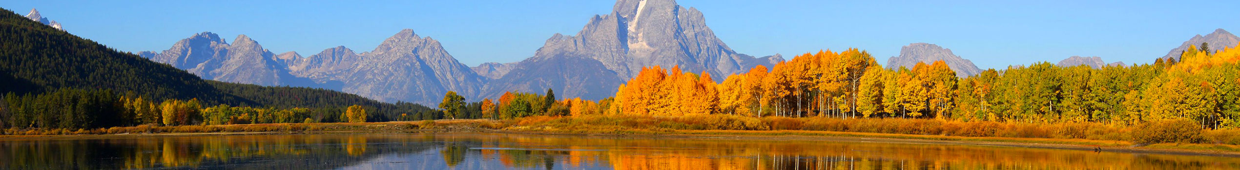 Languages courses worldwide 