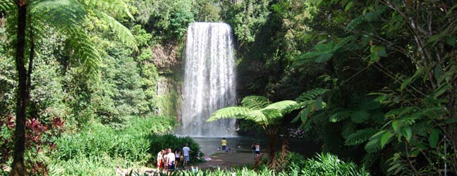 Cairns - Language Immersion in the teacher's home Cairns