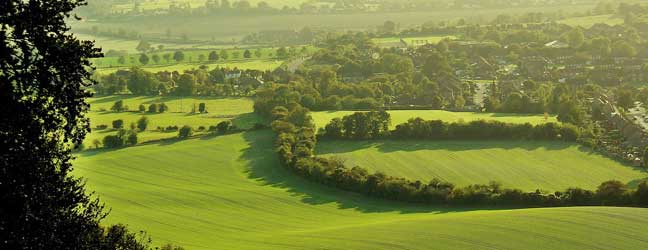 Buckinghamshire - Courses in the teacher’s home Buckinghamshire for a high school student