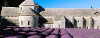 Language studies abroad