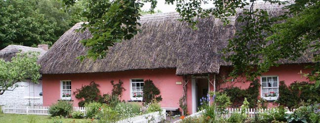 English + Horse Riding in Ireland for junior