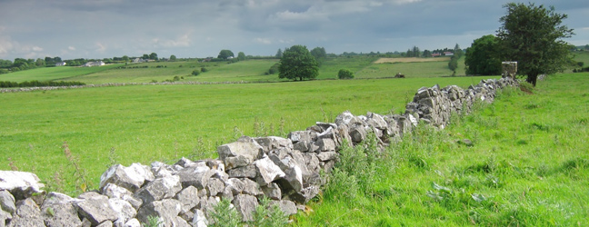 Standard Course in Ireland for junior