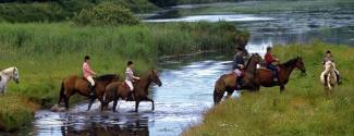 English and Horse riding courses for college student