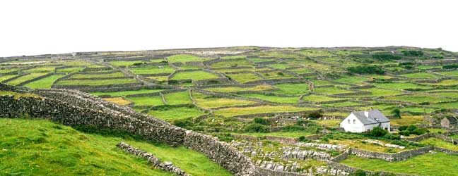 Galway area - Courses in the teacher’s home Galway area for mature studend 50+
