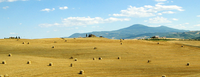 Italian for Adults 50+ in Italy