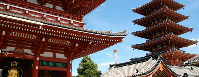 Semester Program Abroad in Japan for college student