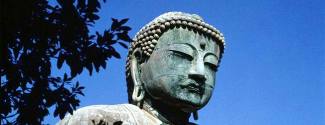 Language studies abroad in Japan - ISI Japanese Language School - Takadanobaba,Shinjuku