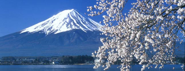 Semester Program Abroad in Japan for adult