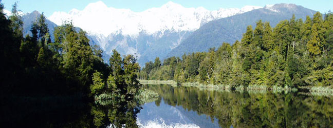 Standard Course in New Zealand for college student