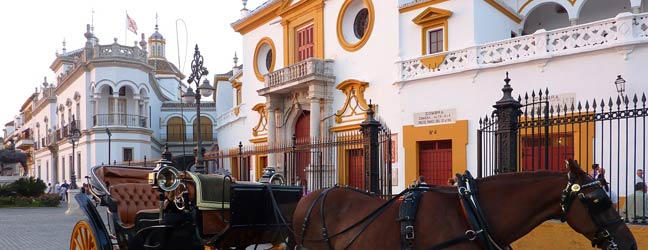 Seville - Language Schools programmes Seville for a college student