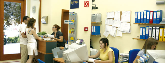Language studies abroad Valencia (Valencia in Spain)