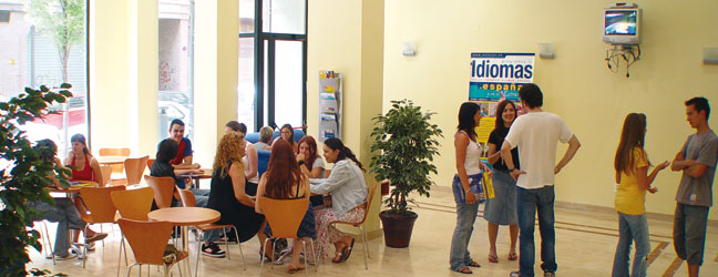 Preparation Course for the DELE (Valencia in Spain)