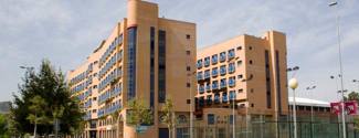 Language Travel in Spain for a high school student - Galileo College - Junior - Valencia
