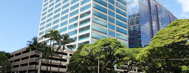 ICC HAWAII for adult (Honolulu in United States)