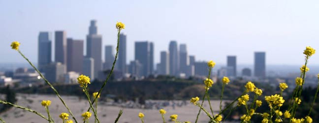 Los Angeles - Programmes Los Angeles for a high school student