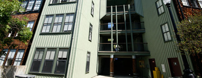 Summer school CISL University of San Francisco Berkeley (San Francisco in United States)